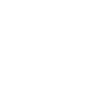 Logo Tiny